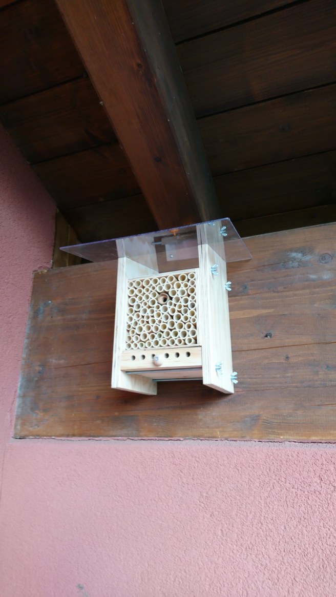The Beehome 