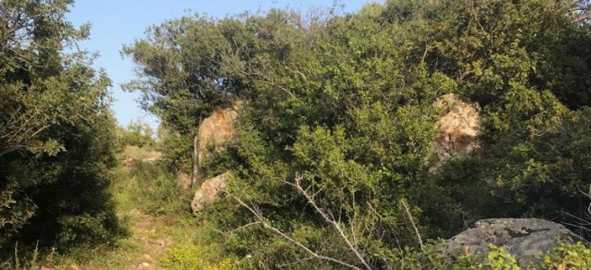 This picture shows one of the narrow passages we encountered during our walk on the way to Alones.